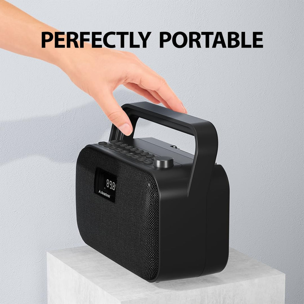Portable FM Radio with 30W Stereo Bluetooth Speaker S6740