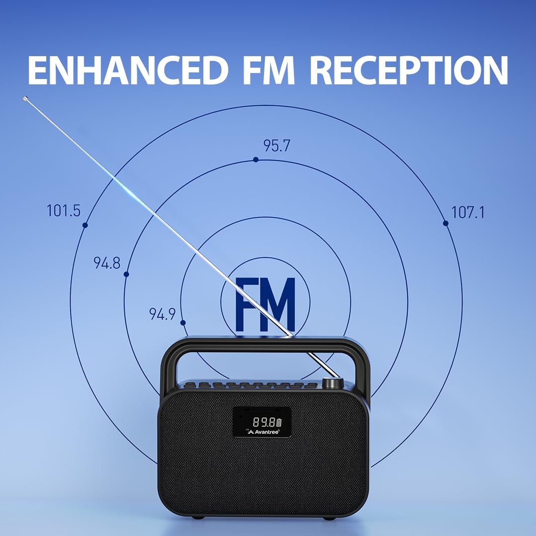 Portable FM Radio with 30W Stereo Bluetooth Speaker S6740