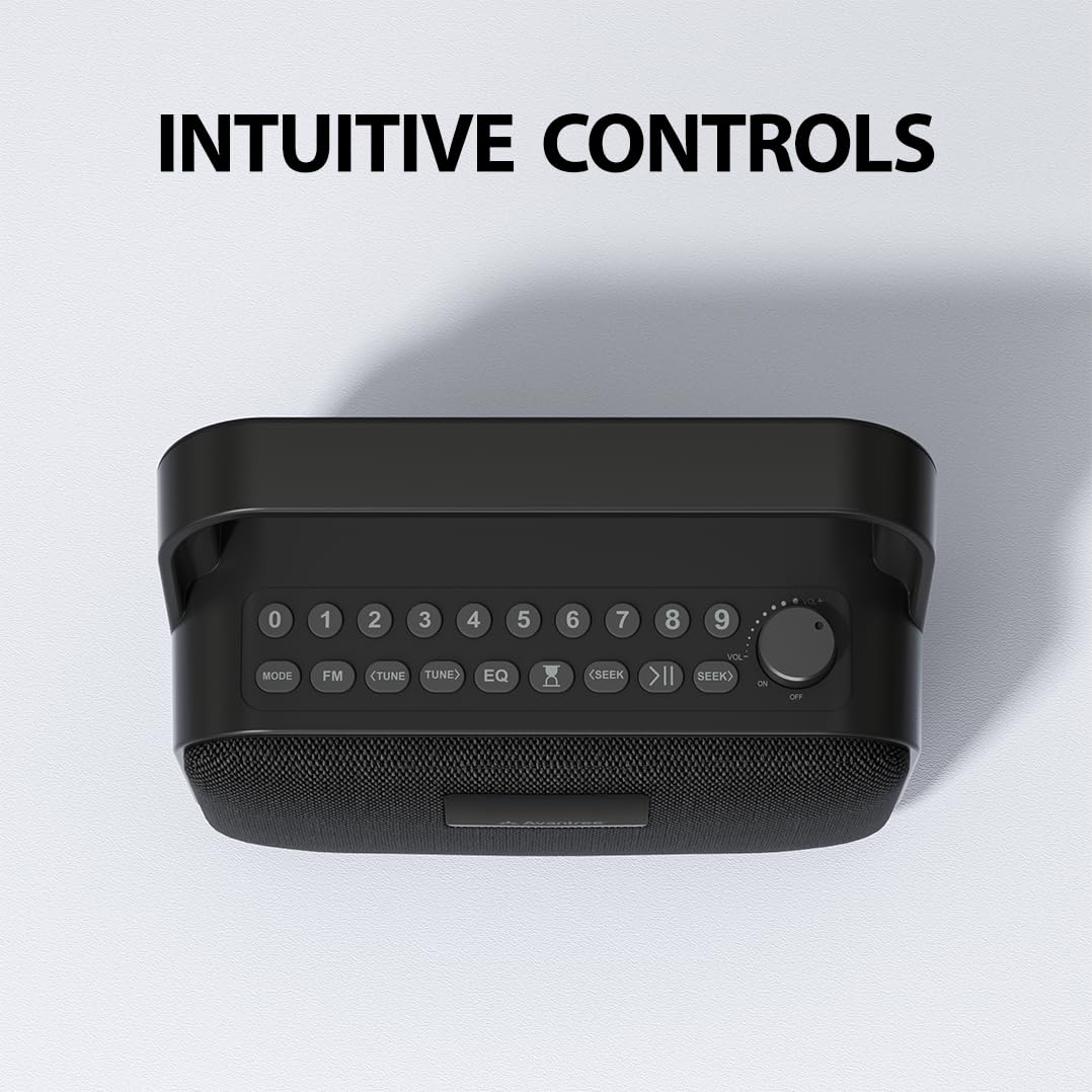 Portable FM Radio with 30W Stereo Bluetooth Speaker S6740