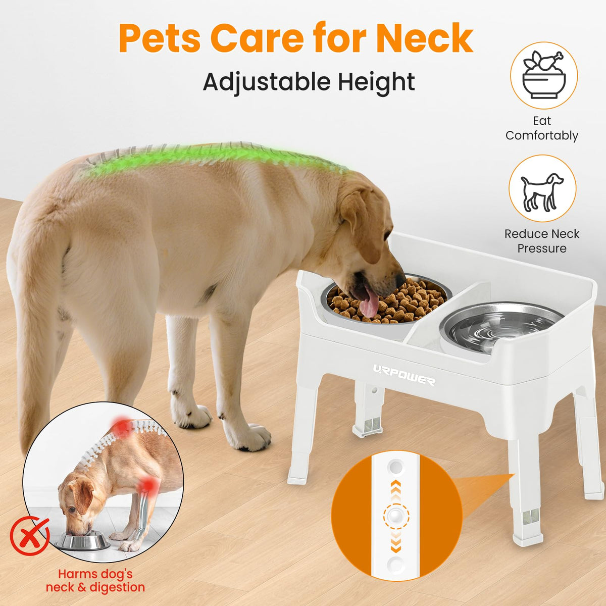 Elevated Dog Bowls A449