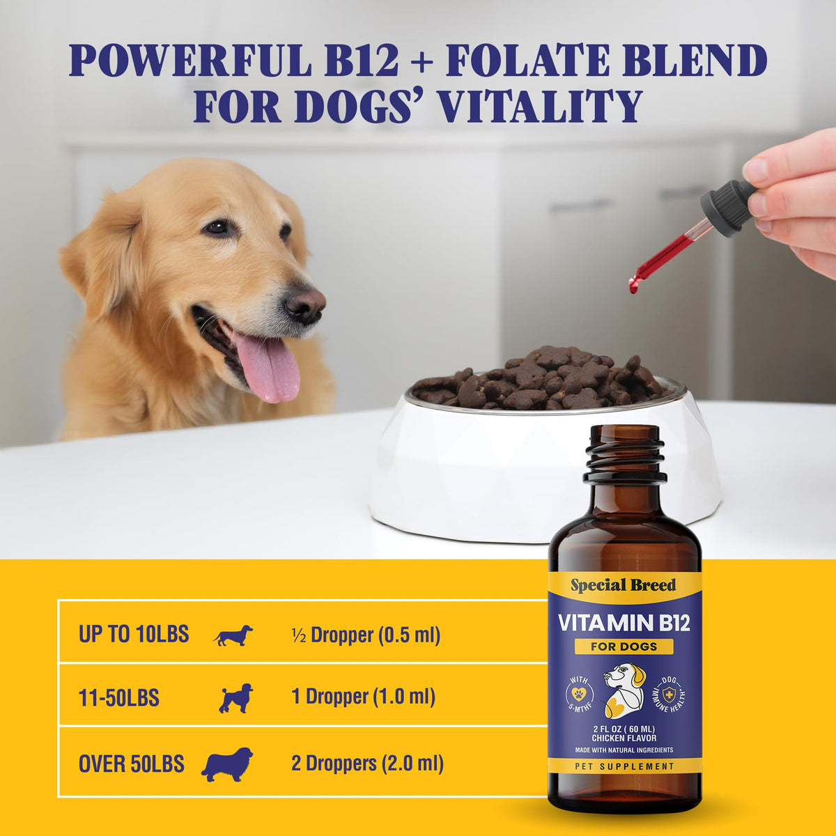 Liquid Vitamin B12 for Dogs, Chicken Flavor, 2 fl oz V808916