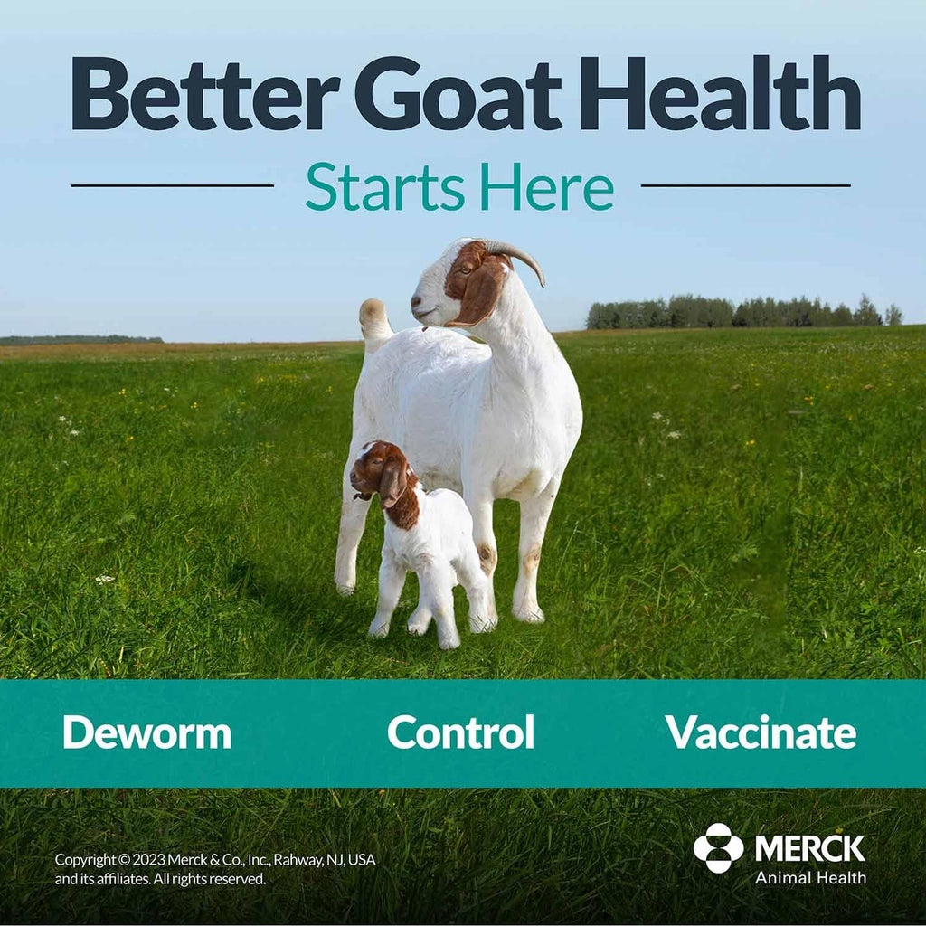 Fenbendazole Dewormer Liquid 125ml W208