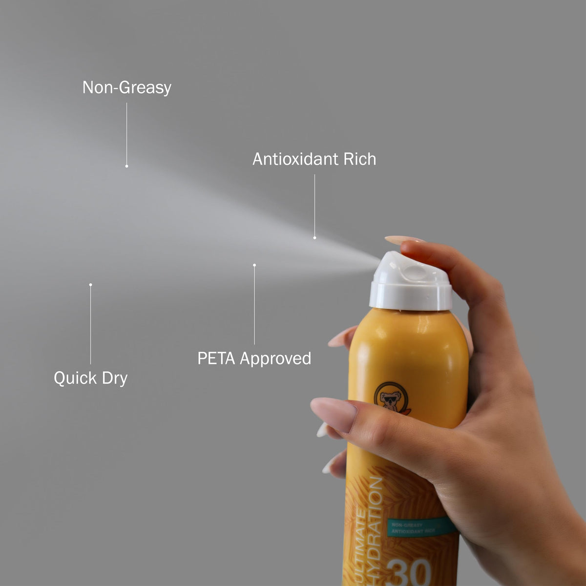 SPF 30 Continuous Spray Sunscreen X196608