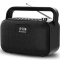 Portable FM Radio with 30W Stereo Bluetooth Speaker S6740