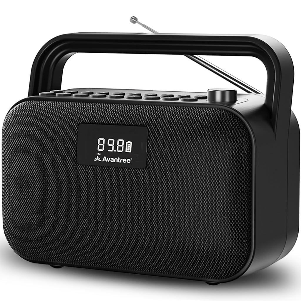 Portable FM Radio with 30W Stereo Bluetooth Speaker S6740