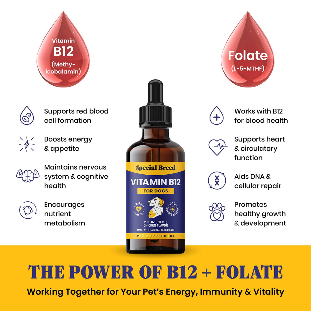 Liquid Vitamin B12 for Dogs, Chicken Flavor, 2 fl oz V808916