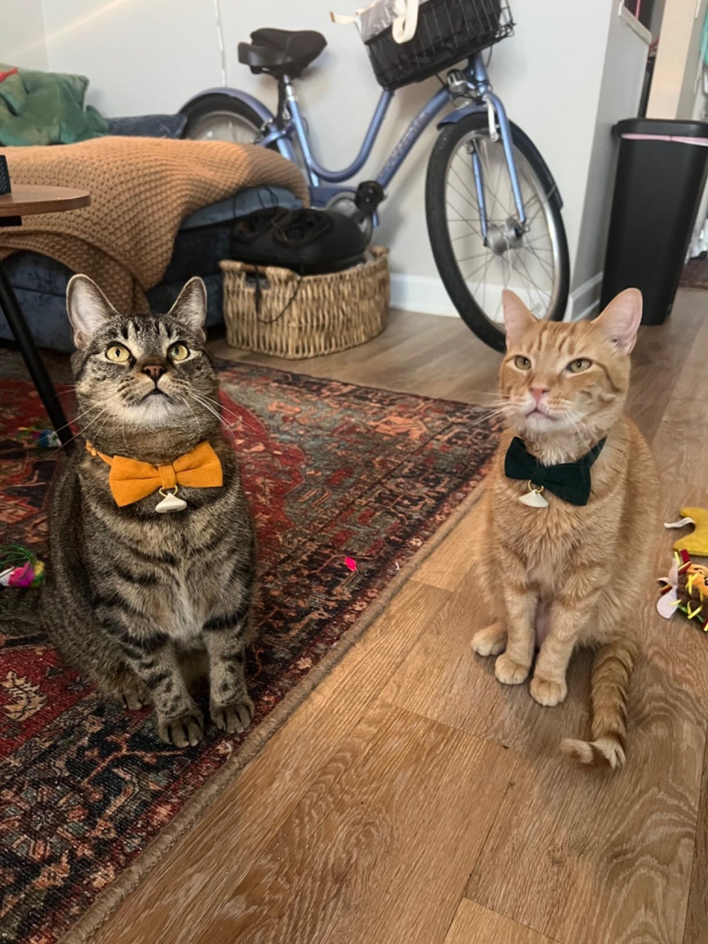 2 Pack Soft Corduroy Cat Collars with Bow Tie & Bell P8882