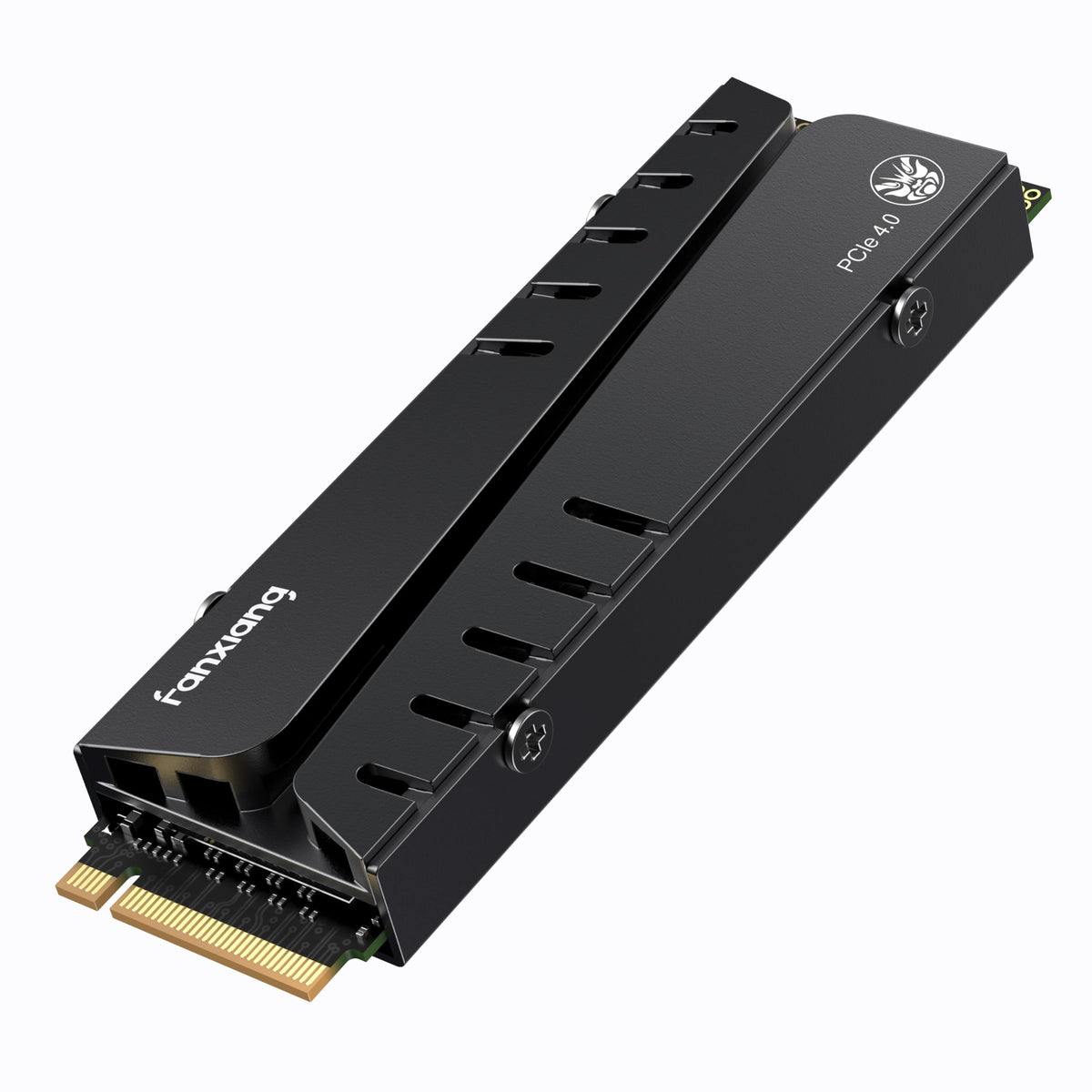 1TB NVMe M.2 SSD with Heatsink and DRAM S2116