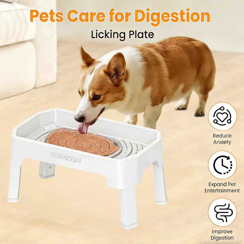 Elevated Dog Bowls A449