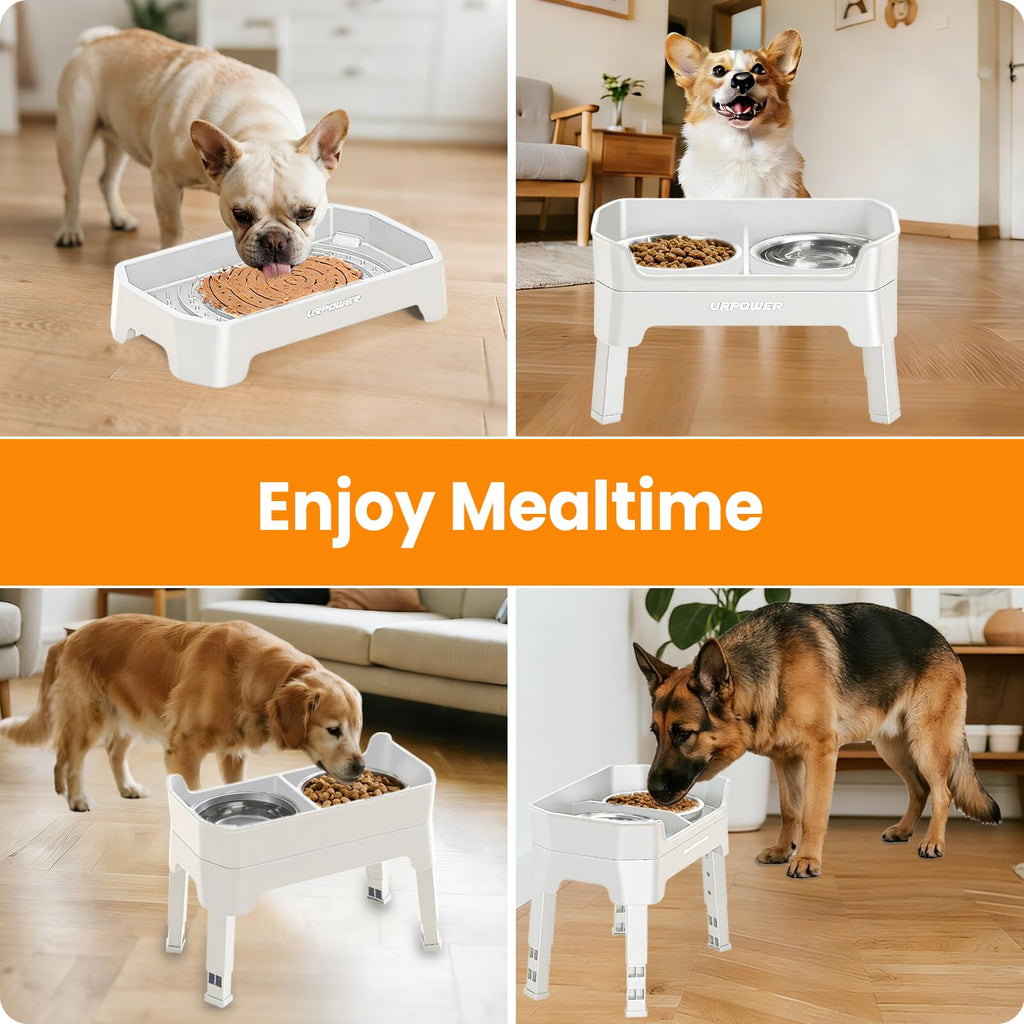 Elevated Dog Bowls A449