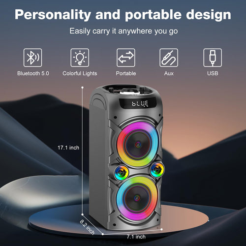 100W Portable Bluetooth Speaker R5636