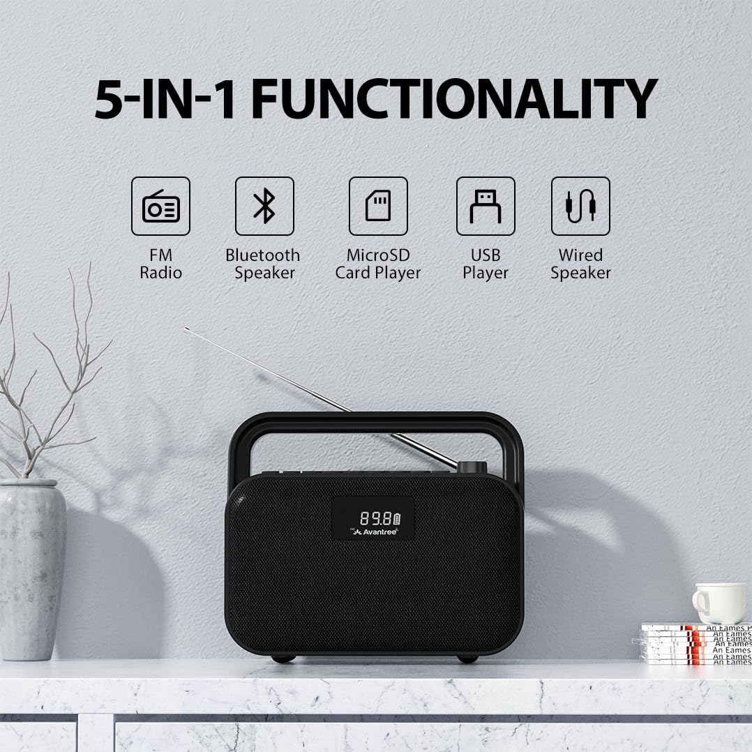 Portable FM Radio with 30W Stereo Bluetooth Speaker S6740