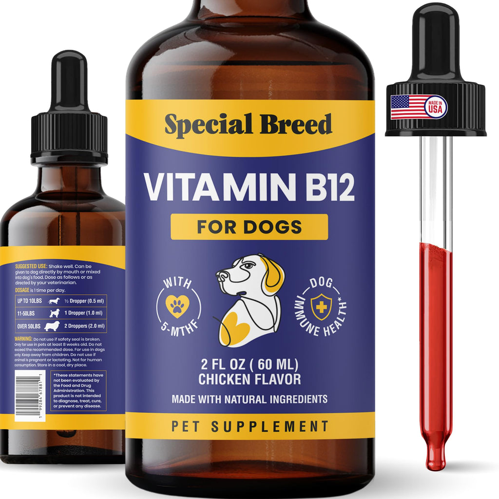 Liquid Vitamin B12 for Dogs, Chicken Flavor, 2 fl oz V808916