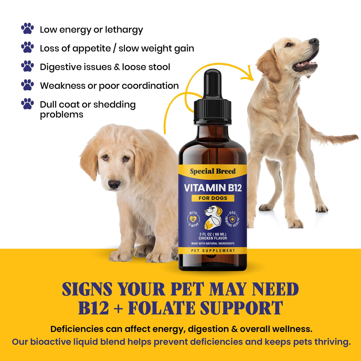 Liquid Vitamin B12 for Dogs, Chicken Flavor, 2 fl oz V808916