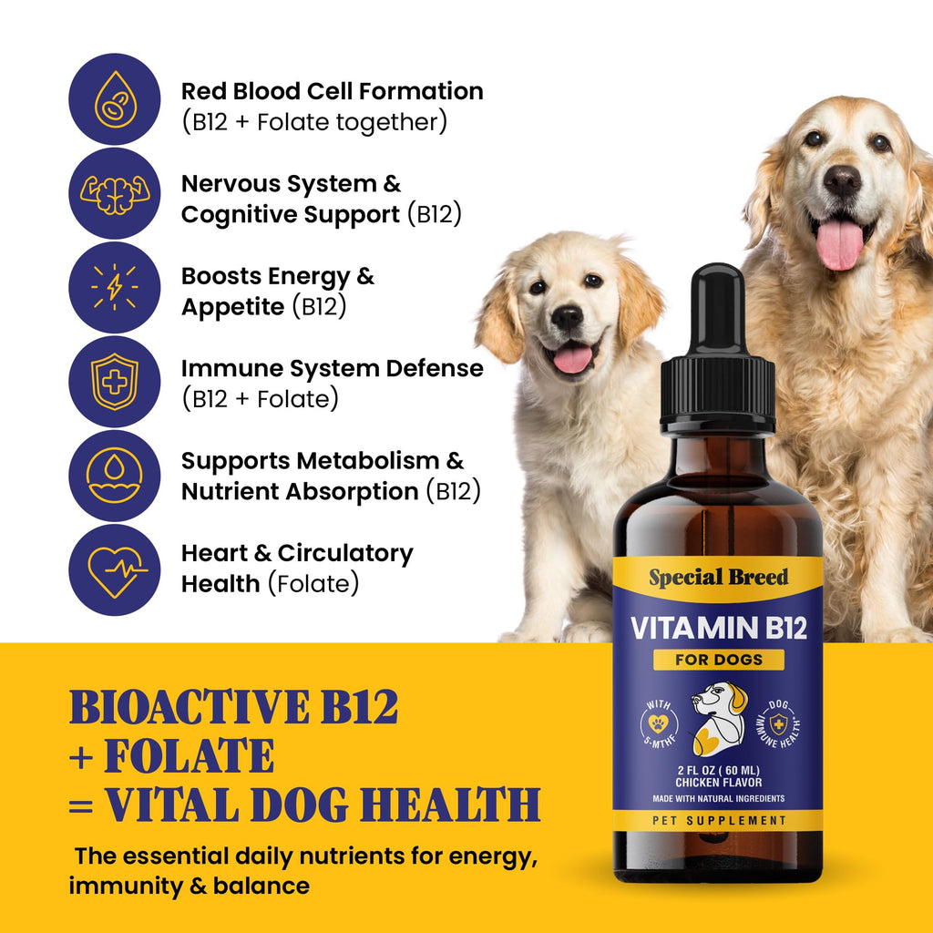 Liquid Vitamin B12 for Dogs, Chicken Flavor, 2 fl oz V808916