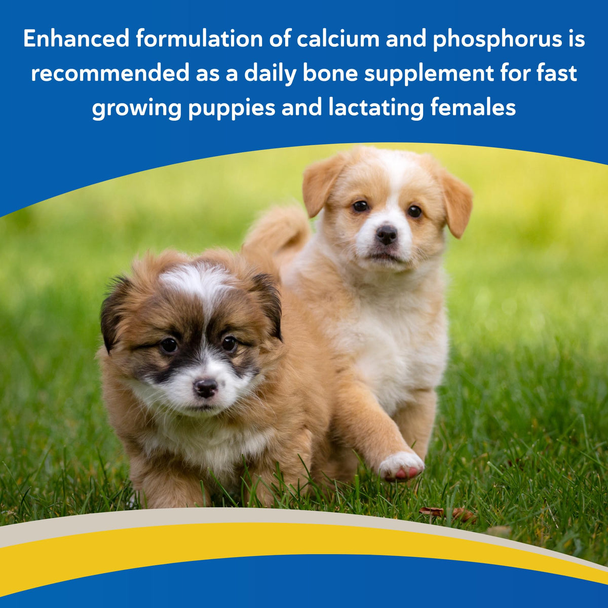 Calcium & Phosphorus Chews for Dogs & Cats, 100ct J512638