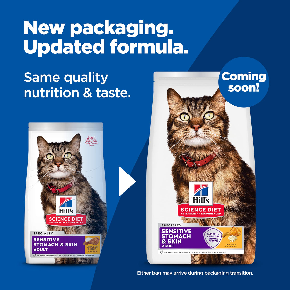 Sensitive Stomach & Skin Dry Cat Food V704
