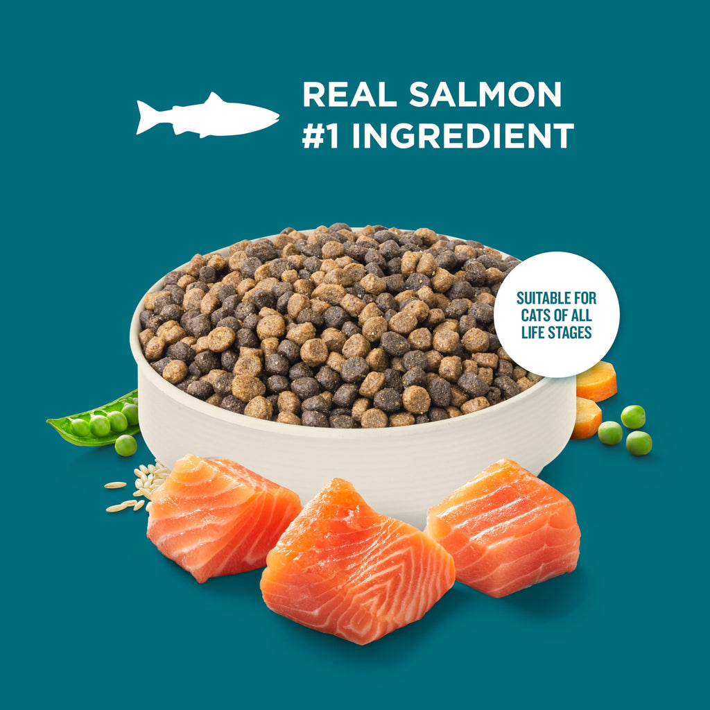 Salmon & Brown Rice Recipe Dry Cat Food 14 lb. Bag Q3373