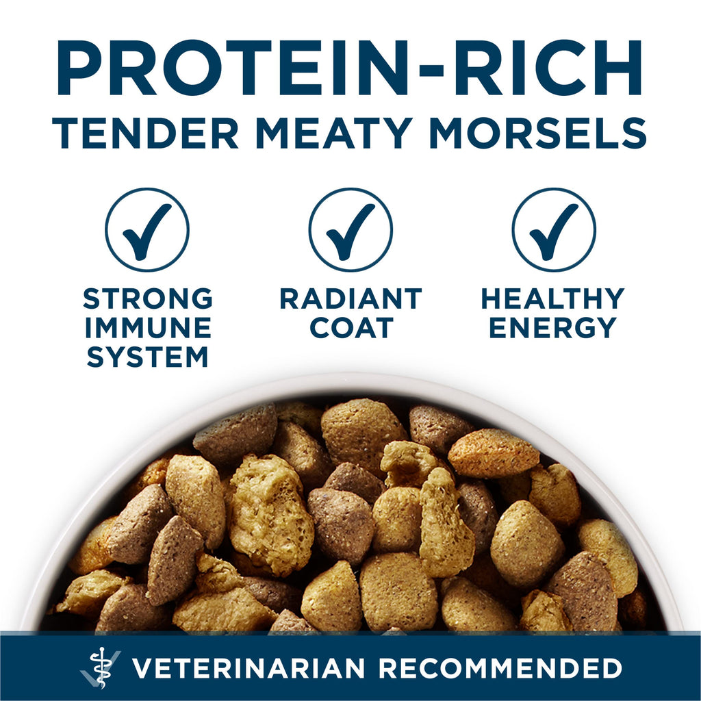 Chicken Large Breed Dry Dog Food 31.1 lb Bag V58162