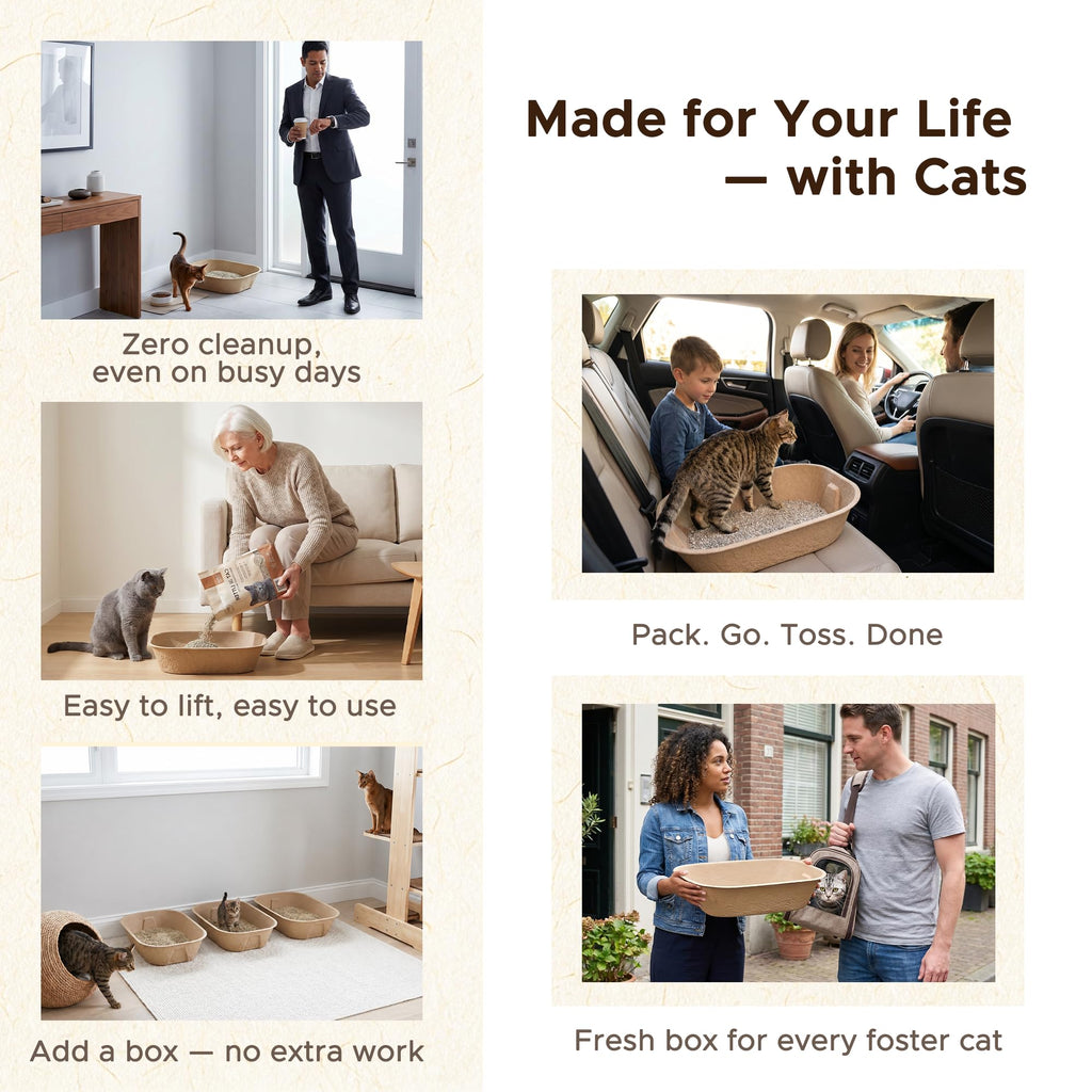 Disposable Litter Box for Kittens Y441866