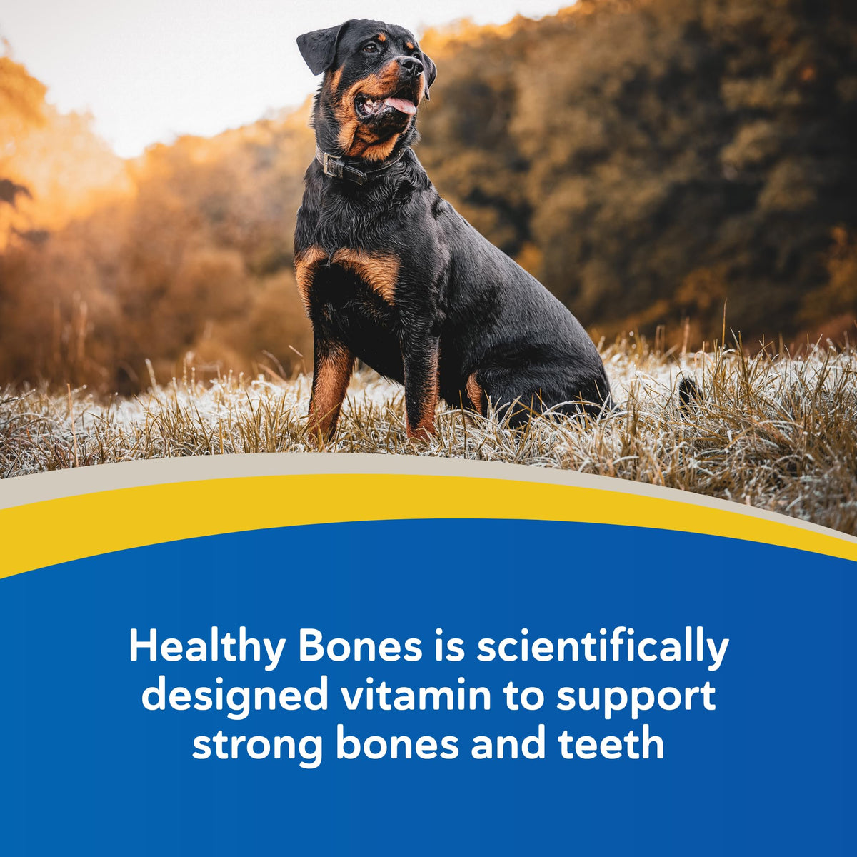 Calcium & Phosphorus Chews for Dogs & Cats, 100ct J512638