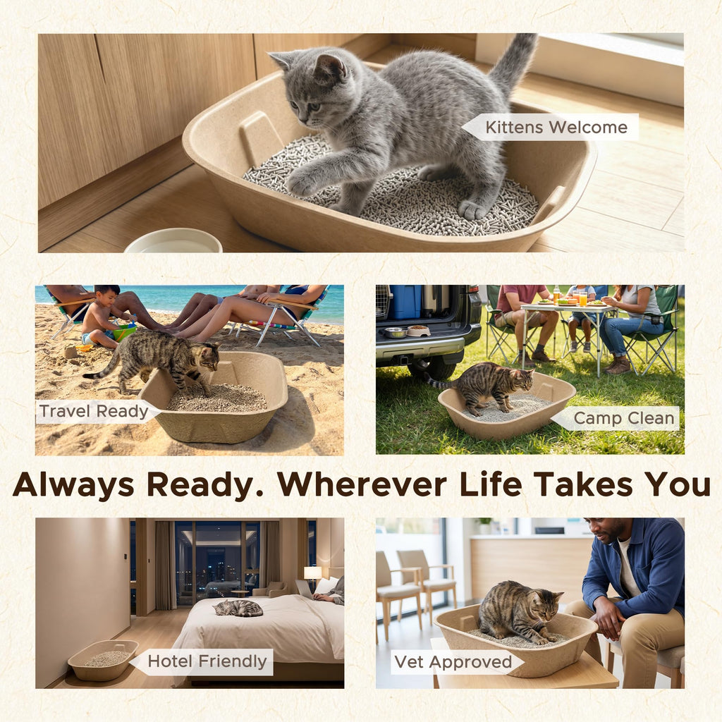 Disposable Litter Box for Kittens Y441866