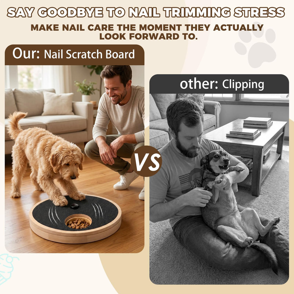 Dog Nail Scratch Board with Treat Box B310308