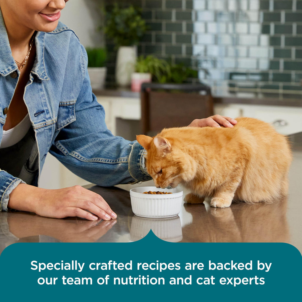 Salmon & Brown Rice Recipe Dry Cat Food 14 lb. Bag Q3373