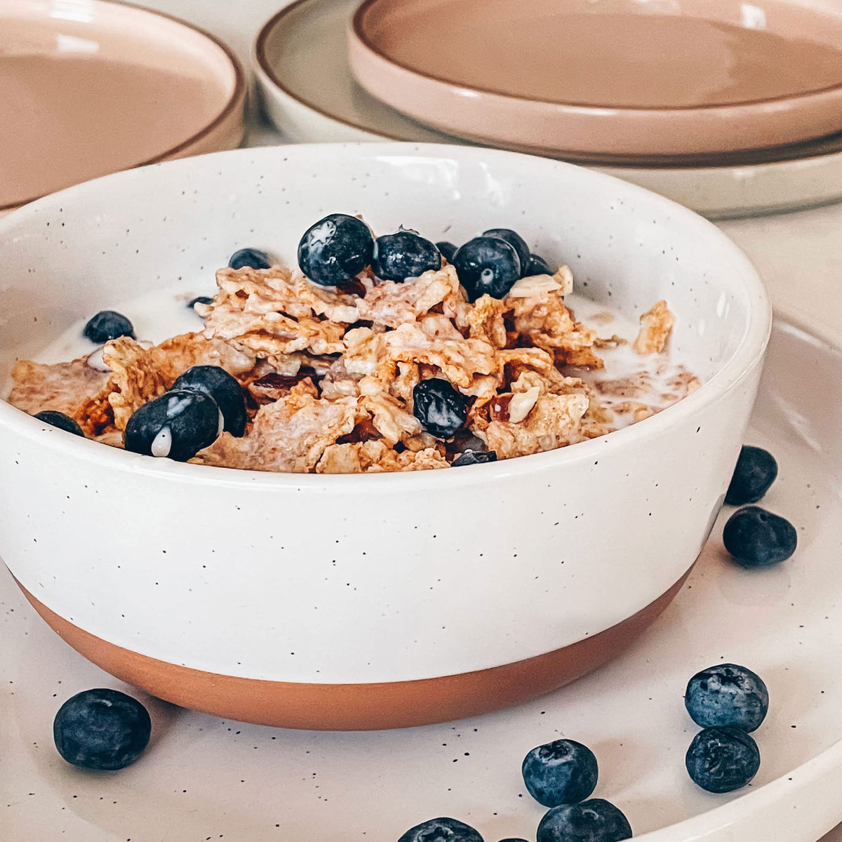 Ceramic Flat Bowls Set of 4 25 oz Porcelain Bowl L8012