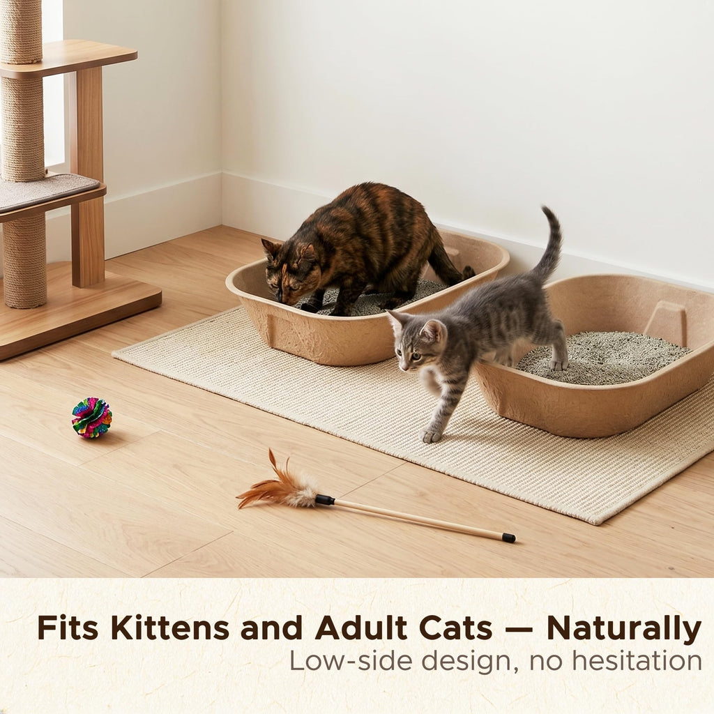 Disposable Litter Box for Kittens Y441866