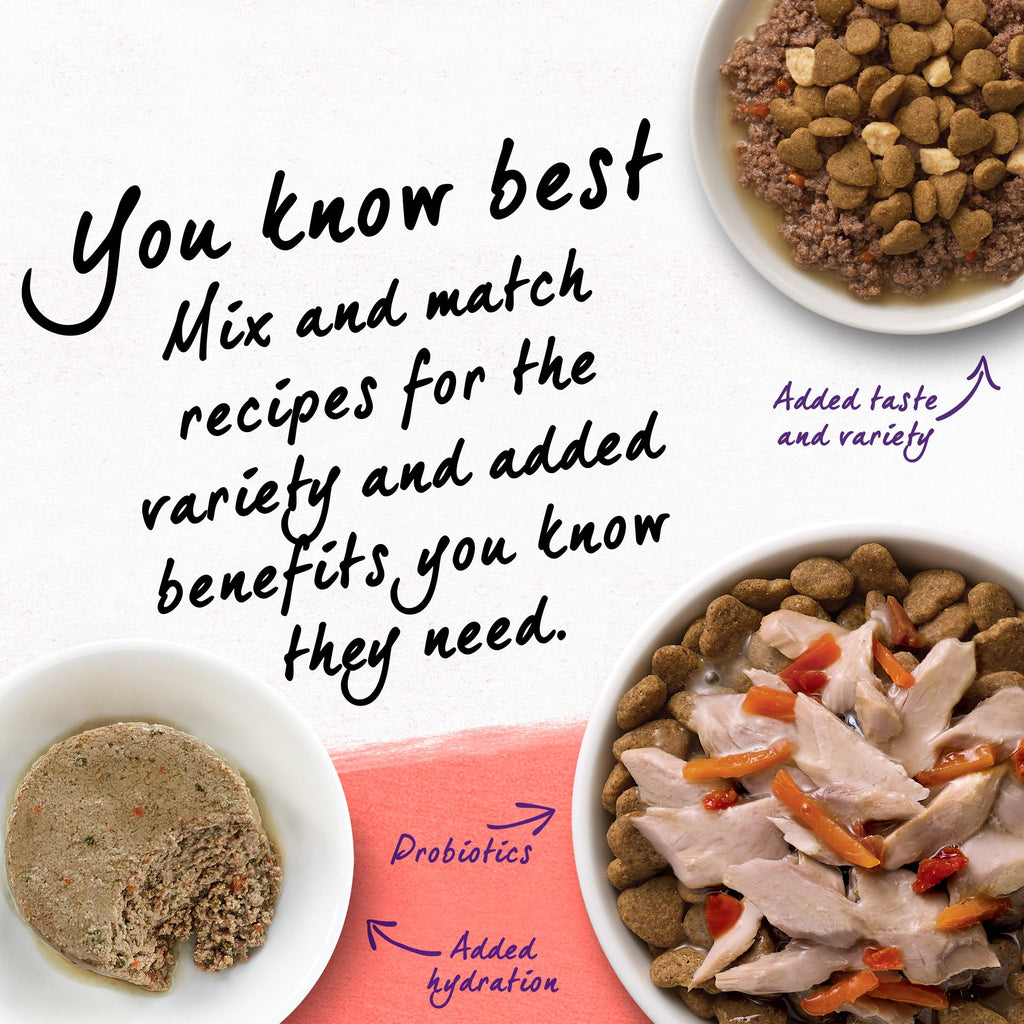 Grain Free Dry Cat Food Salmon, Egg and Sweet Potato Recipe 11 lb. Bag Y5704