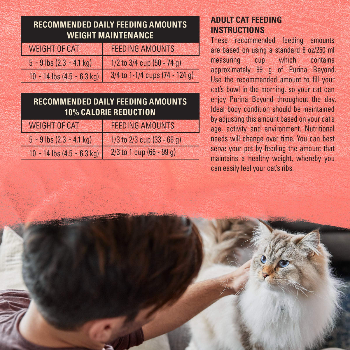 Grain Free Dry Cat Food Salmon, Egg and Sweet Potato Recipe 11 lb. Bag Y5704