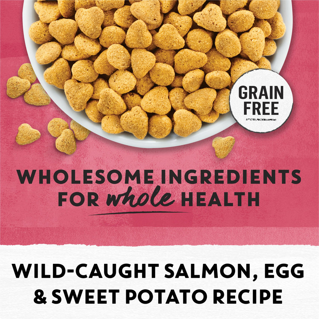 Grain Free Dry Cat Food Salmon, Egg and Sweet Potato Recipe 11 lb. Bag Y5704